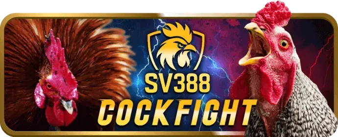 Quyền của người dùng Sky 88